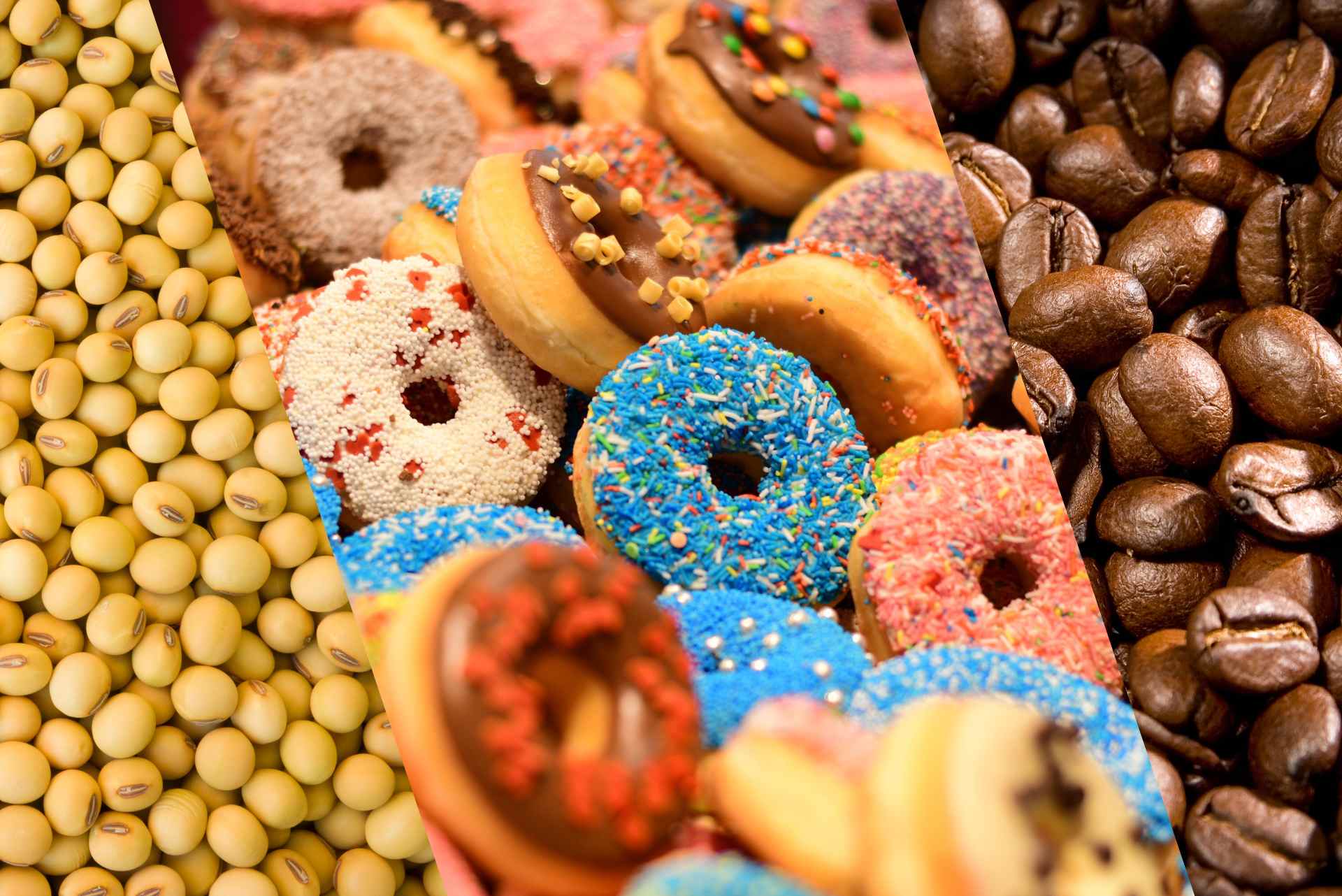 soybeans donuts and coffee beans