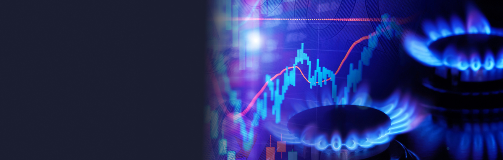 Person using a laptop