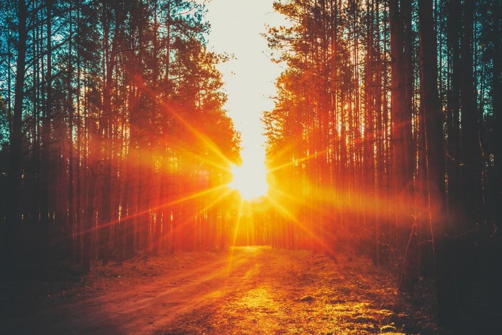 US stocks, gold extend recovery